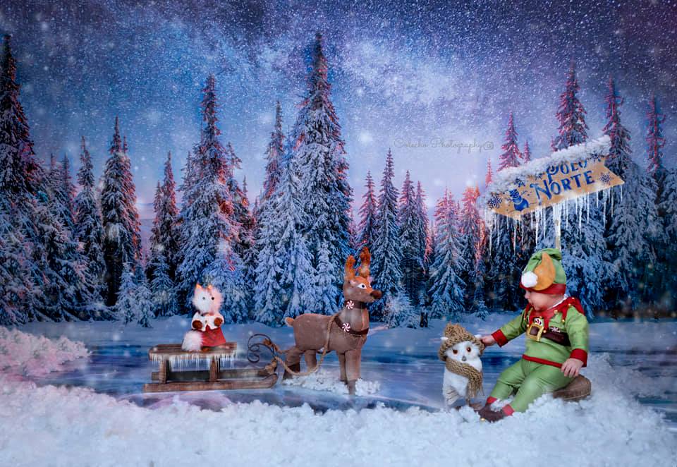 Boy in green clothes sits in front of snowy forest night backdrop