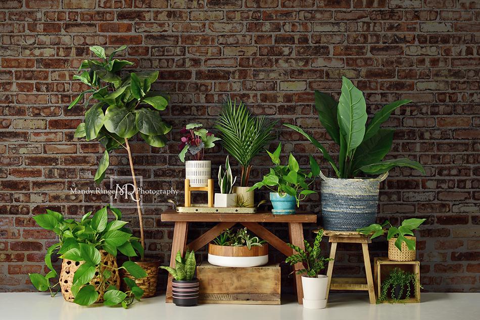 Kate Spring/mother's Day Plant Lover Backdrop Designed by Mandy Ringe Photography - Kate Backdrop AU
