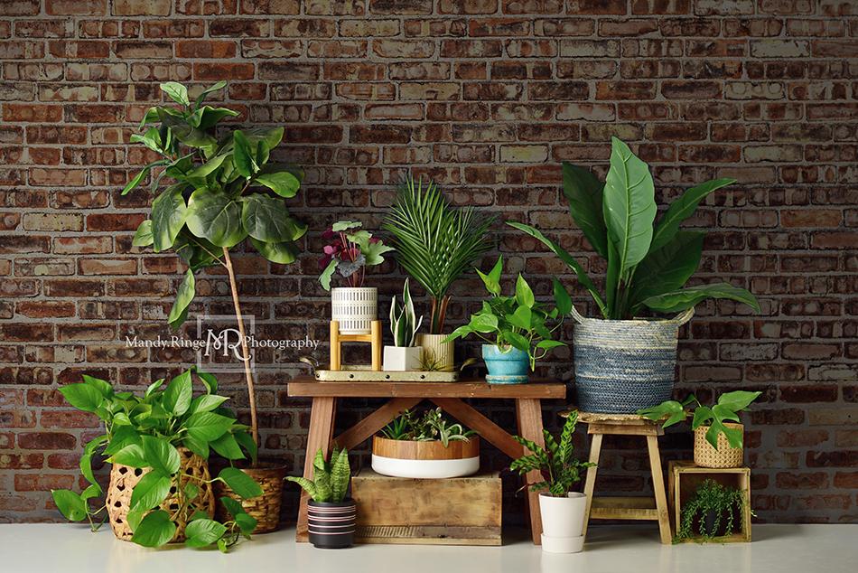 Kate Spring/mother's Day Plant Lover Backdrop Designed by Mandy Ringe Photography