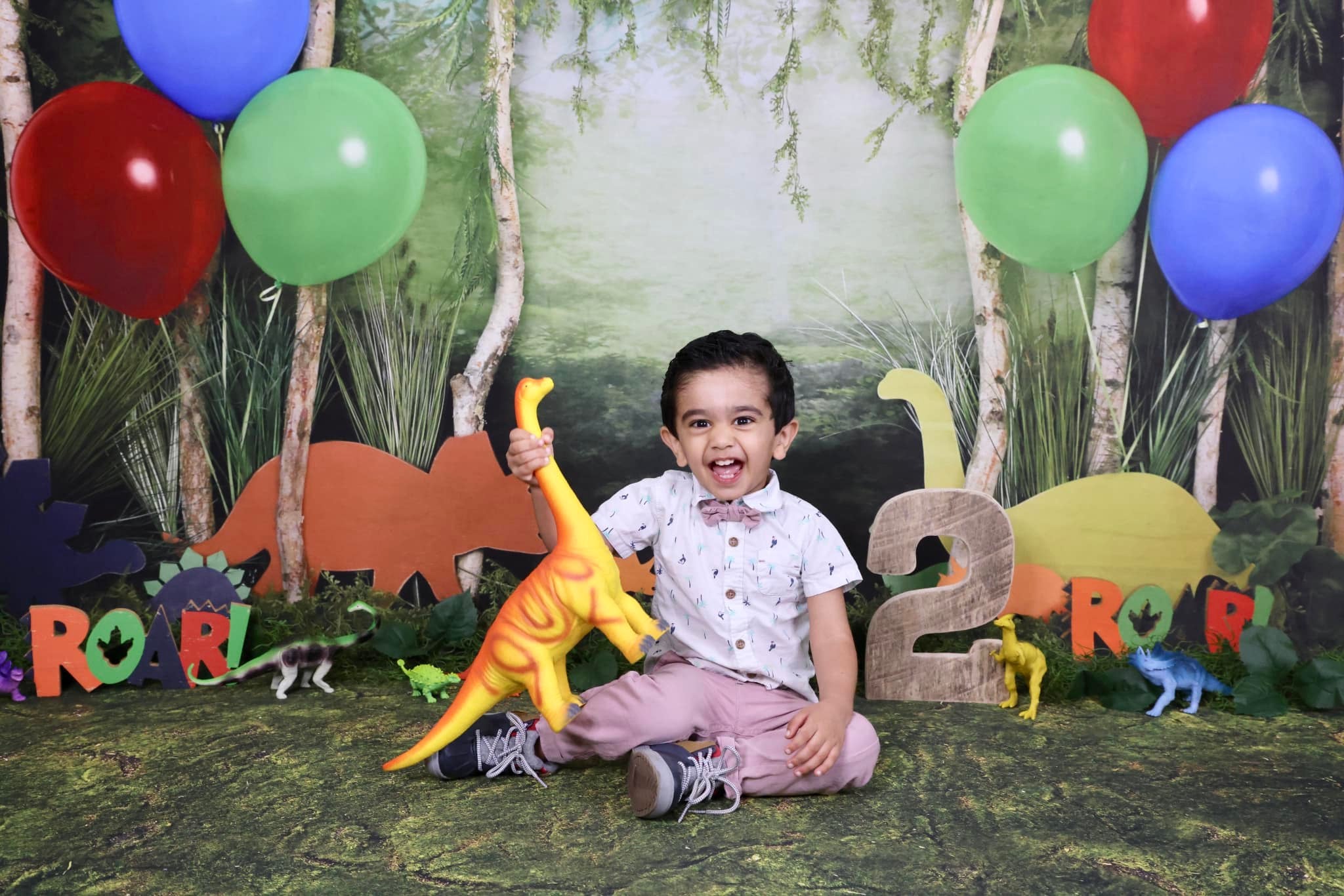 Kate Rainforest Wonderland with Dinosaur Balloons Backdrop