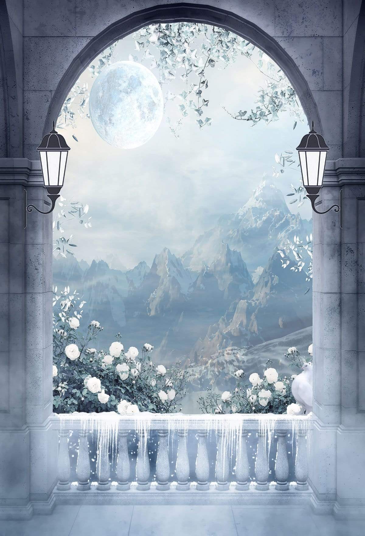 Kate Winter Mountain And Moon Arched Door with Snow Backdrop Designed by JFCC