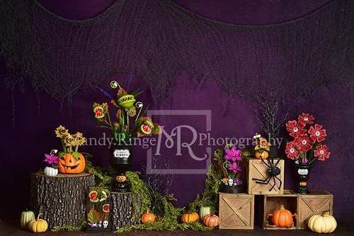 Kate Spooky Garden Halloween Backdrop Designed By Mandy Ringe Photography