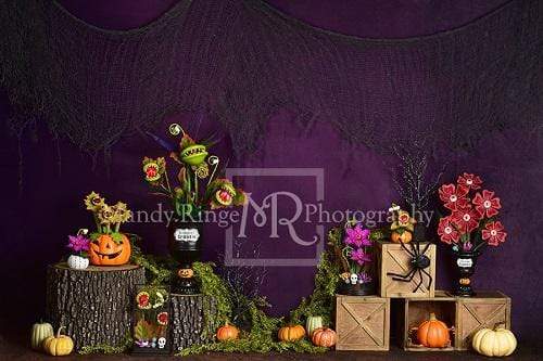 Kate Spooky Garden Halloween Backdrop Designed By Mandy Ringe Photography - Kate Backdrop AU