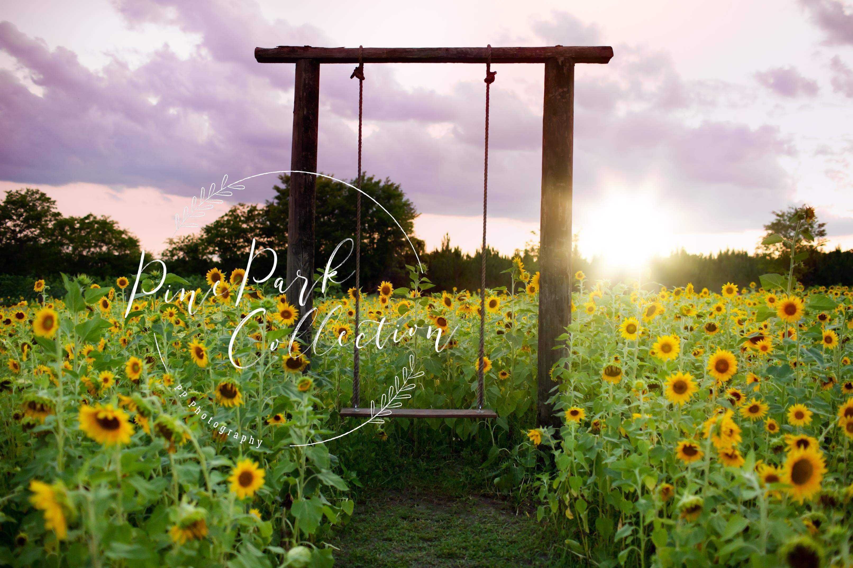 Kate Summer Sunflower Swing Backdrop for Photography Designed By Pine Park Collection