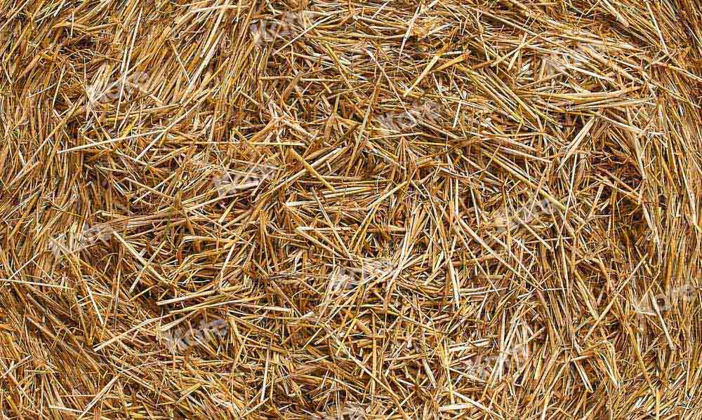 Kate Autumn Messy Yellow Straw Rubber Floor Mat