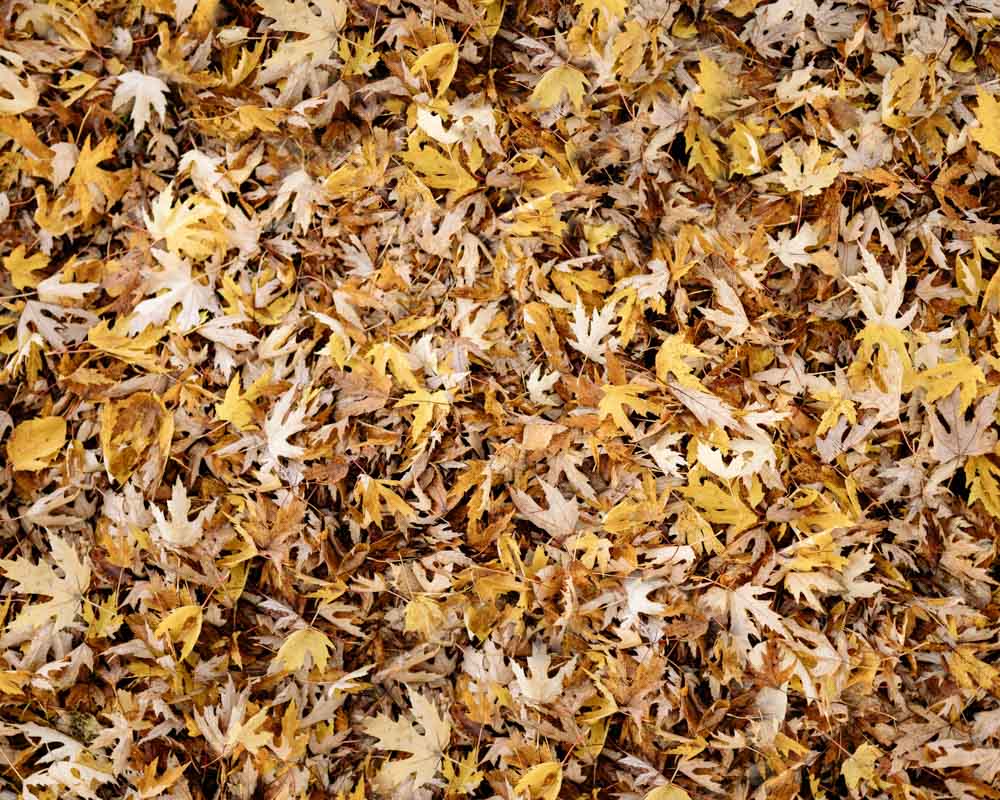 Kate Autumn Leaves Rubber Floor Mat