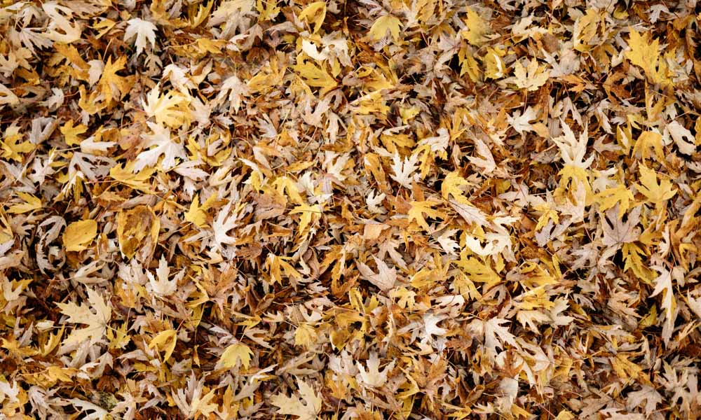 Kate Autumn Leaves Rubber Floor Mat - Kate Backdrop AU