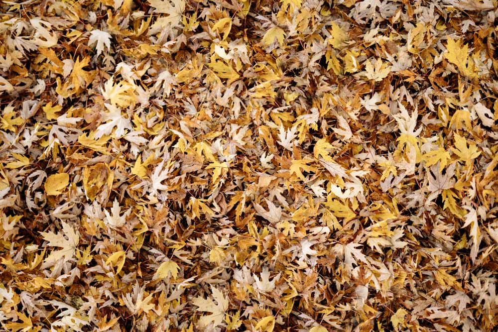 Kate Autumn Leaves Rubber Floor Mat