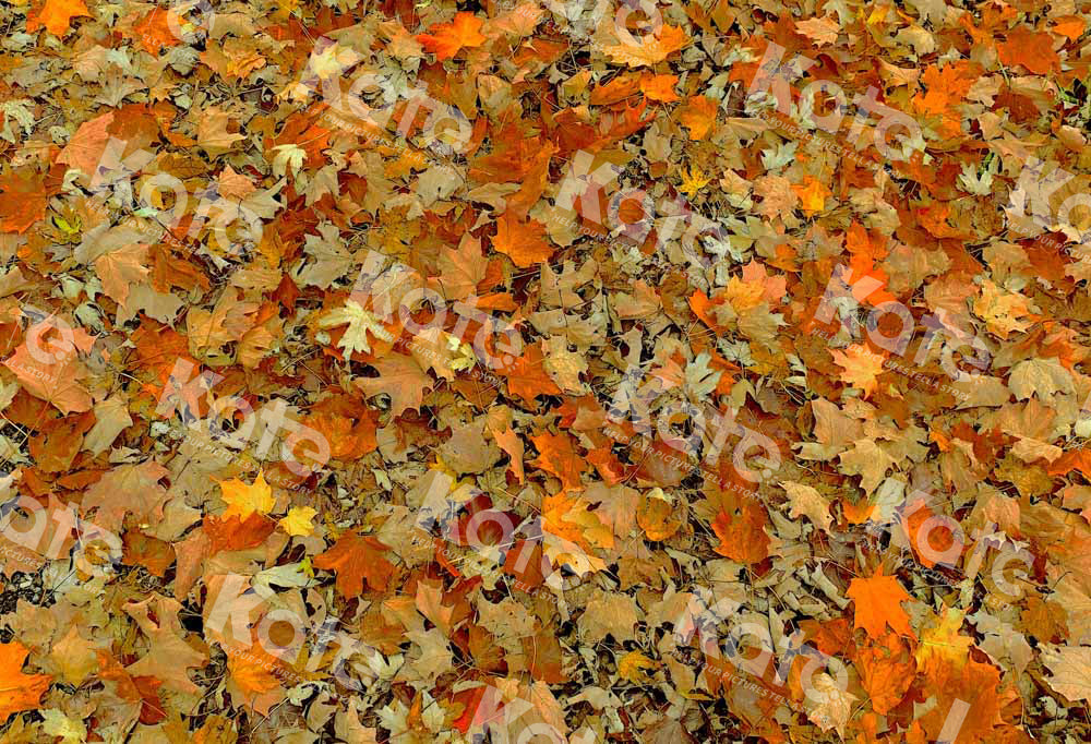 Kate Autumn Fallen Leaves Rubber Floor Mat - Kate Backdrop AU