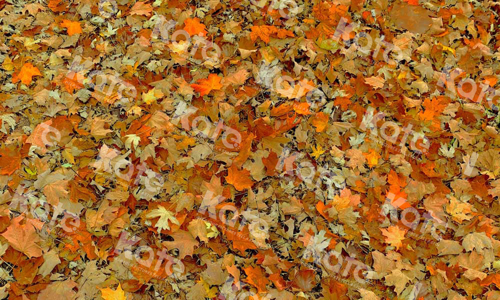 Kate Autumn Fallen Leaves Rubber Floor Mat - Kate Backdrop AU