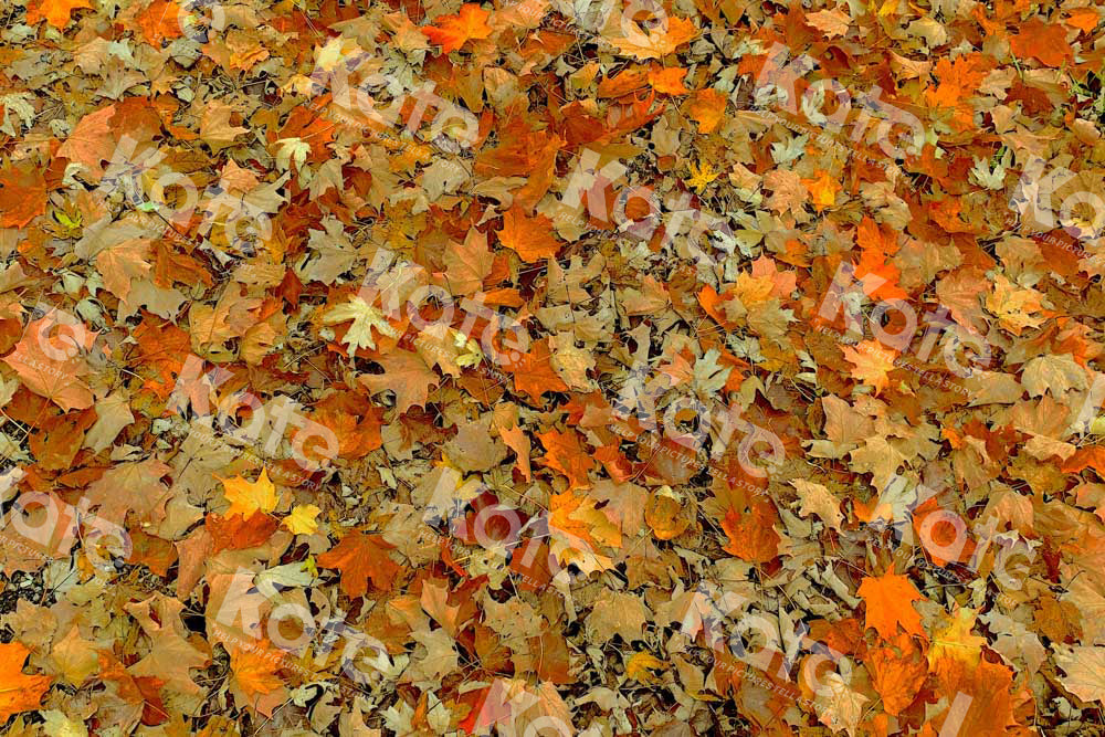 Kate Autumn Fallen Leaves Rubber Floor Mat - Kate Backdrop AU