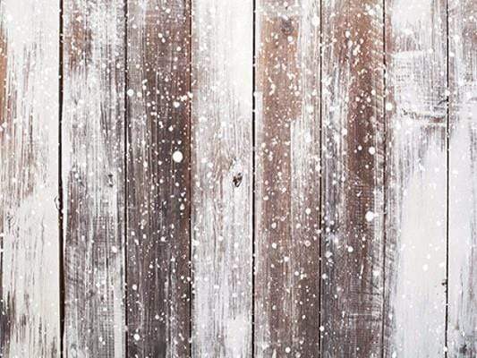 Katebackdrop£ºKate Winter Scenery Wood With Snow Christmas Backdrops
