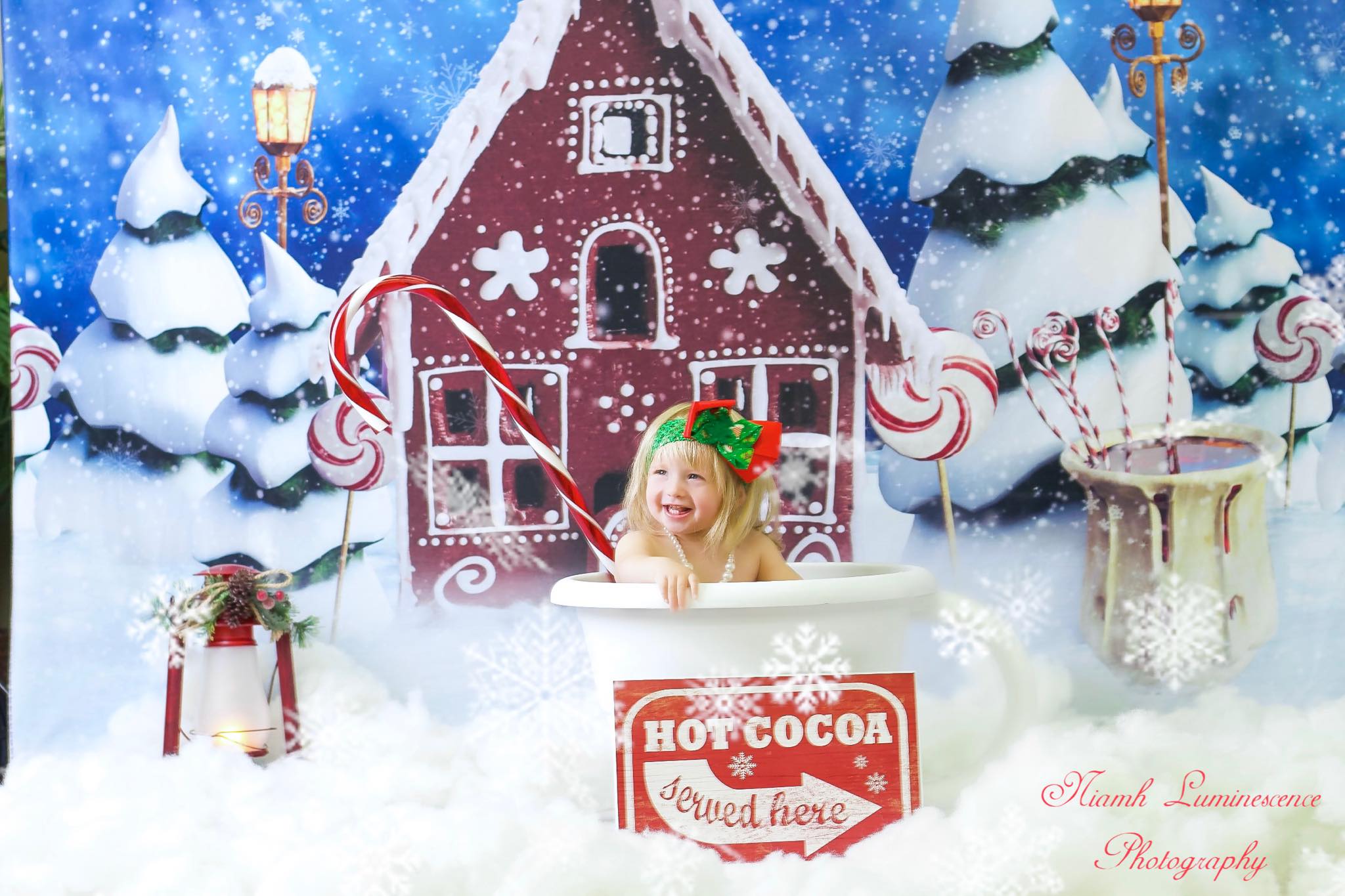 Kate Christmas Gingerbread House Snow Backdrop for Photography