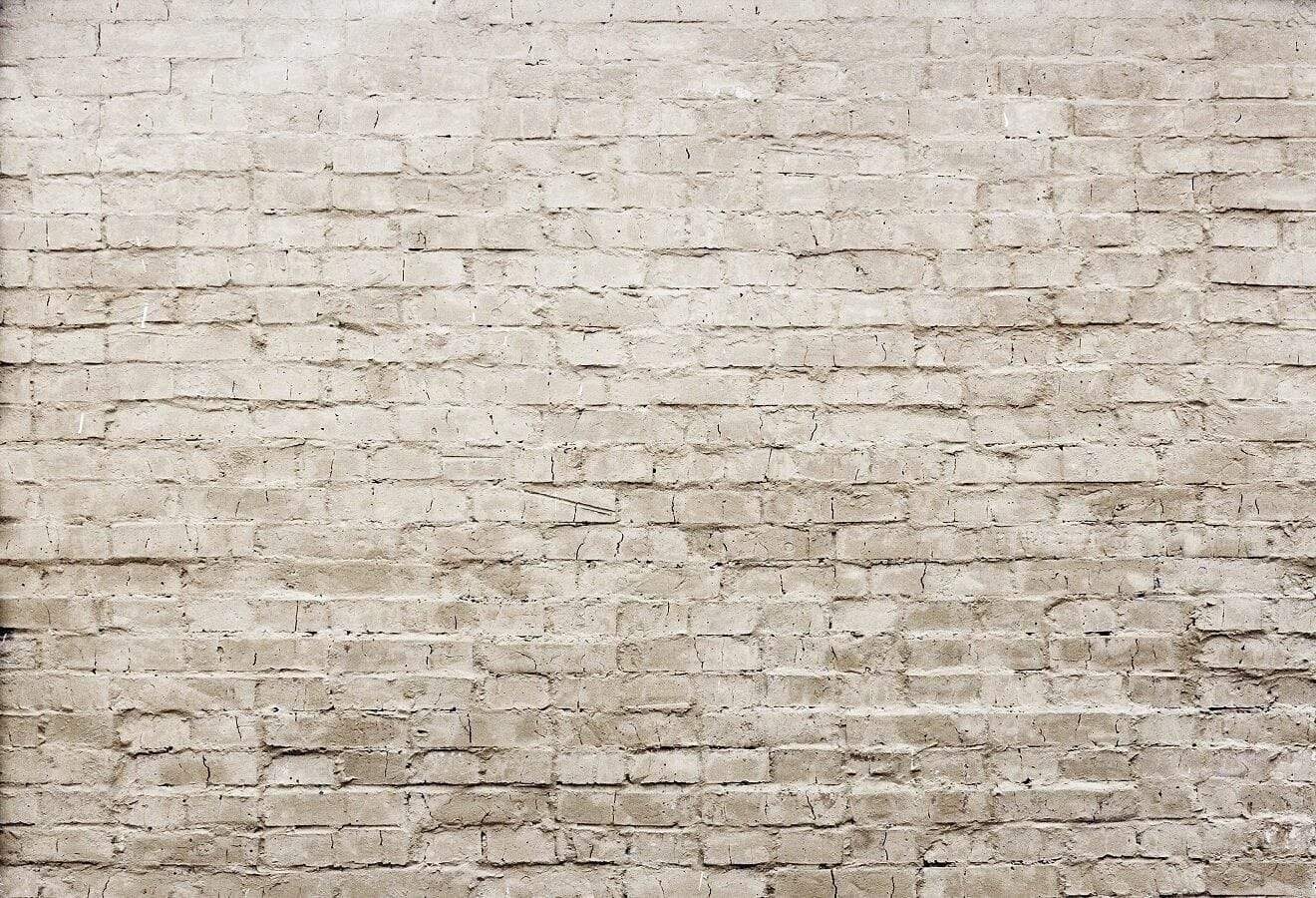Katebackdrop£ºKate Khaki Brick Wall Background photography