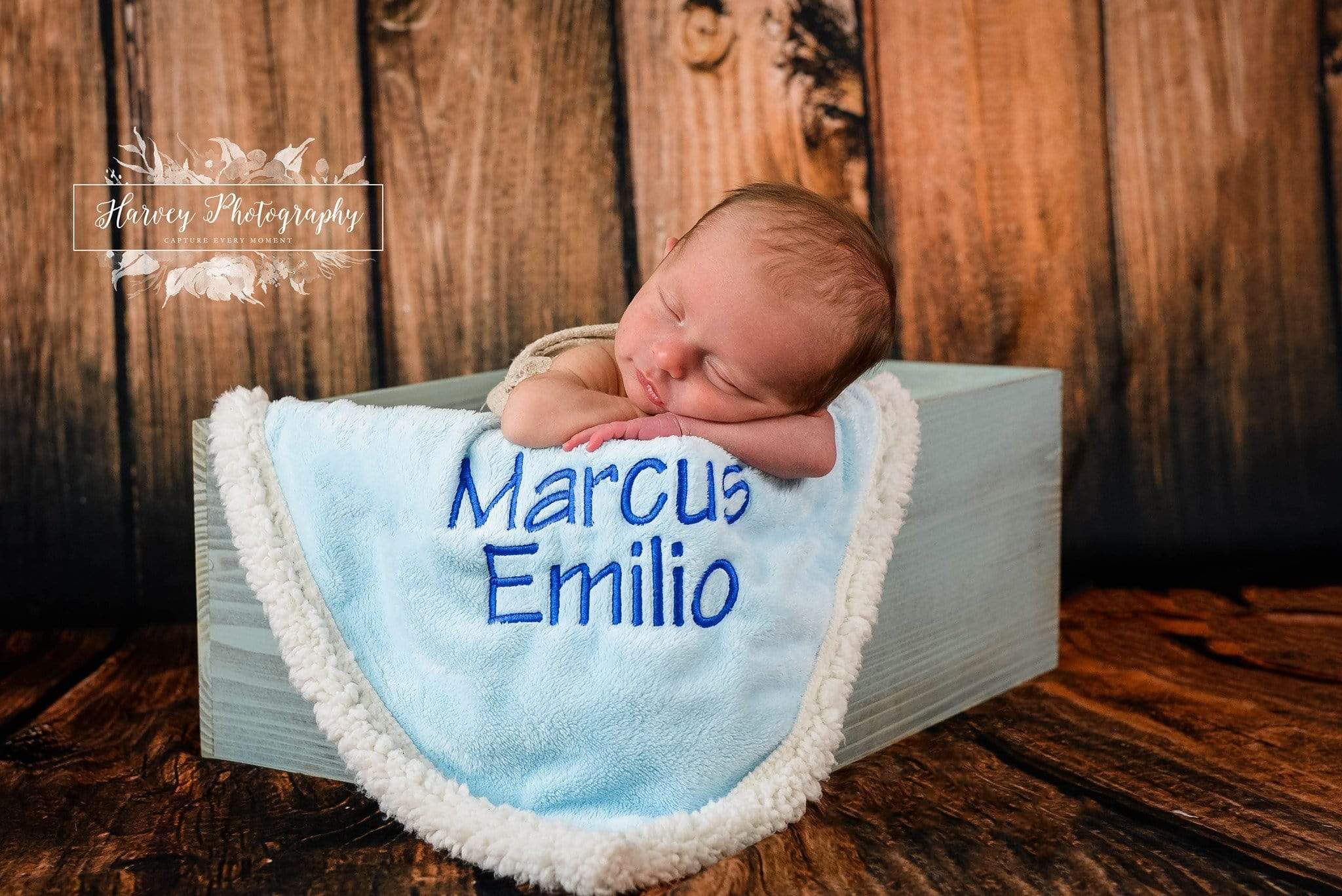 Kate Brown Wood Pine branch Backdrop For Newborn Photography Shoot - Kate Backdrop AU