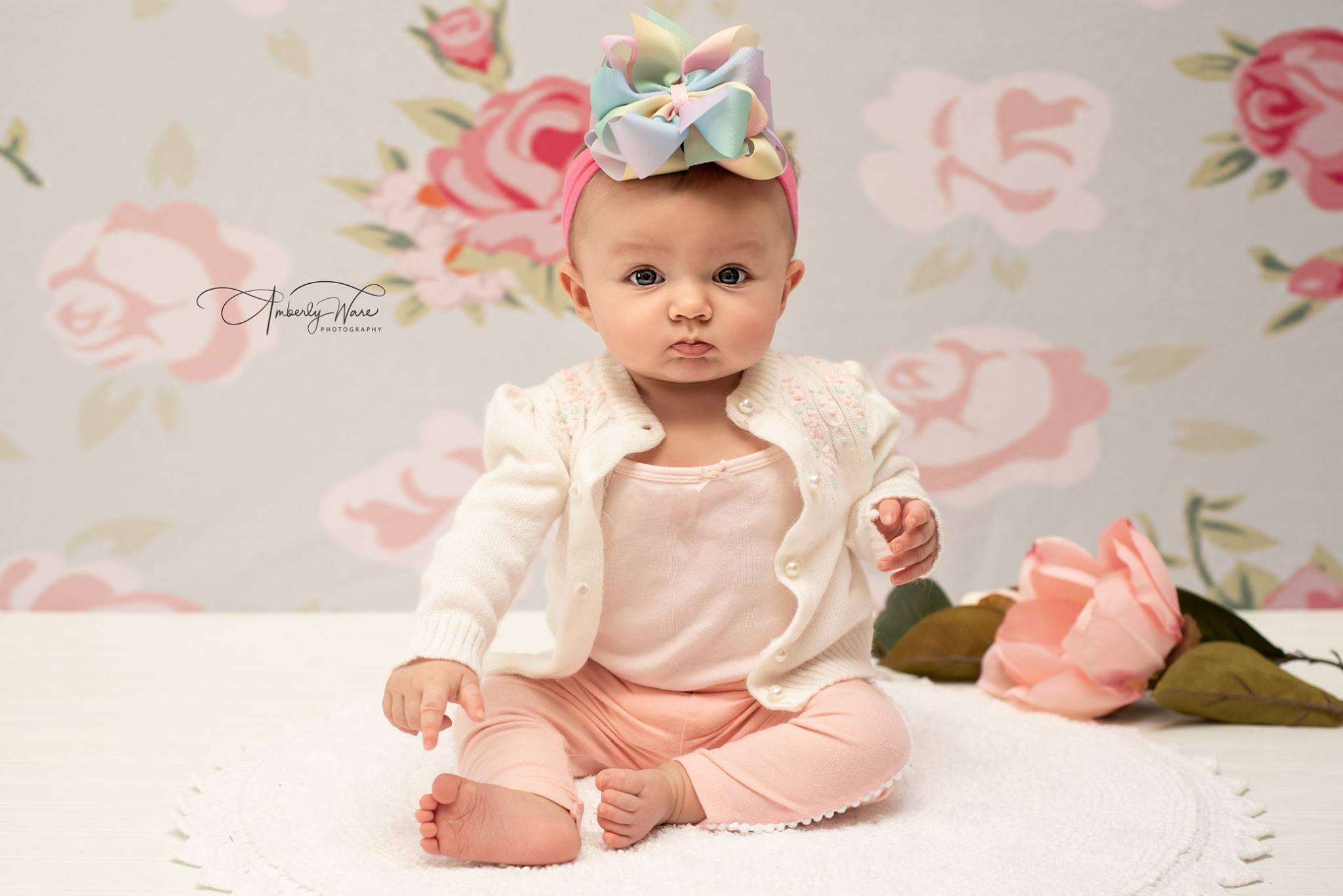 Kate Pink Flower White Background Pattern Baby Photography Backdrop - Kate Backdrop AU
