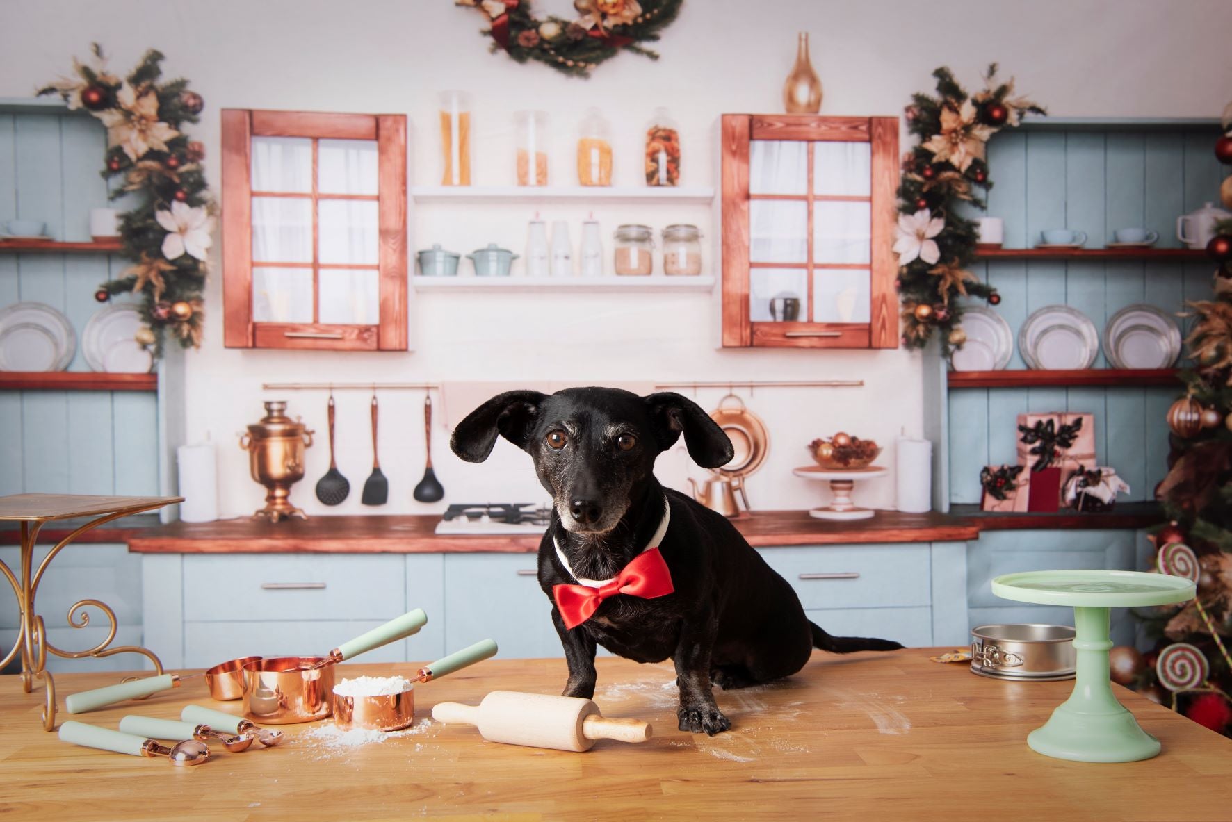 Kate Christmas Kitchen Room Backdrop for Photography