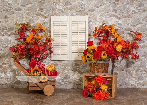Kate Fall Cobblestone Backdrop Designed by Chrissie Green - Kate Backdrop AU