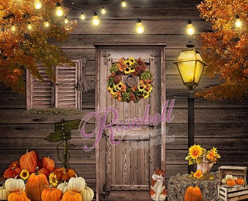Kate Halloween Backdrop Designed by Rosabell Photography - Kate Backdrop AU