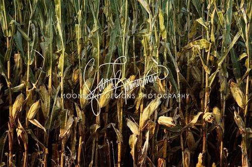 Kate Lowa Cornfield Backdrop for Photography Designed by Sarah Timmerman