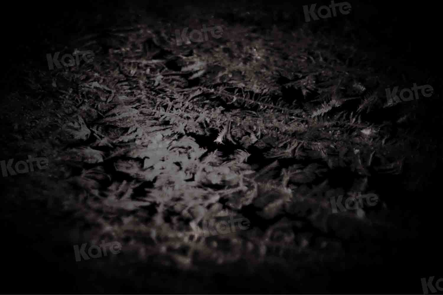 Kate Abstract Black Backdrop Frost Texture Designed by Kate Image - Kate Backdrop AU