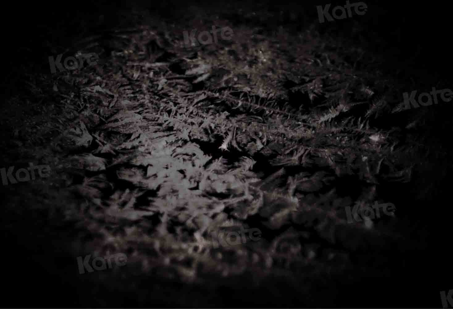 Kate Abstract Black Backdrop Frost Texture Designed by Kate Image