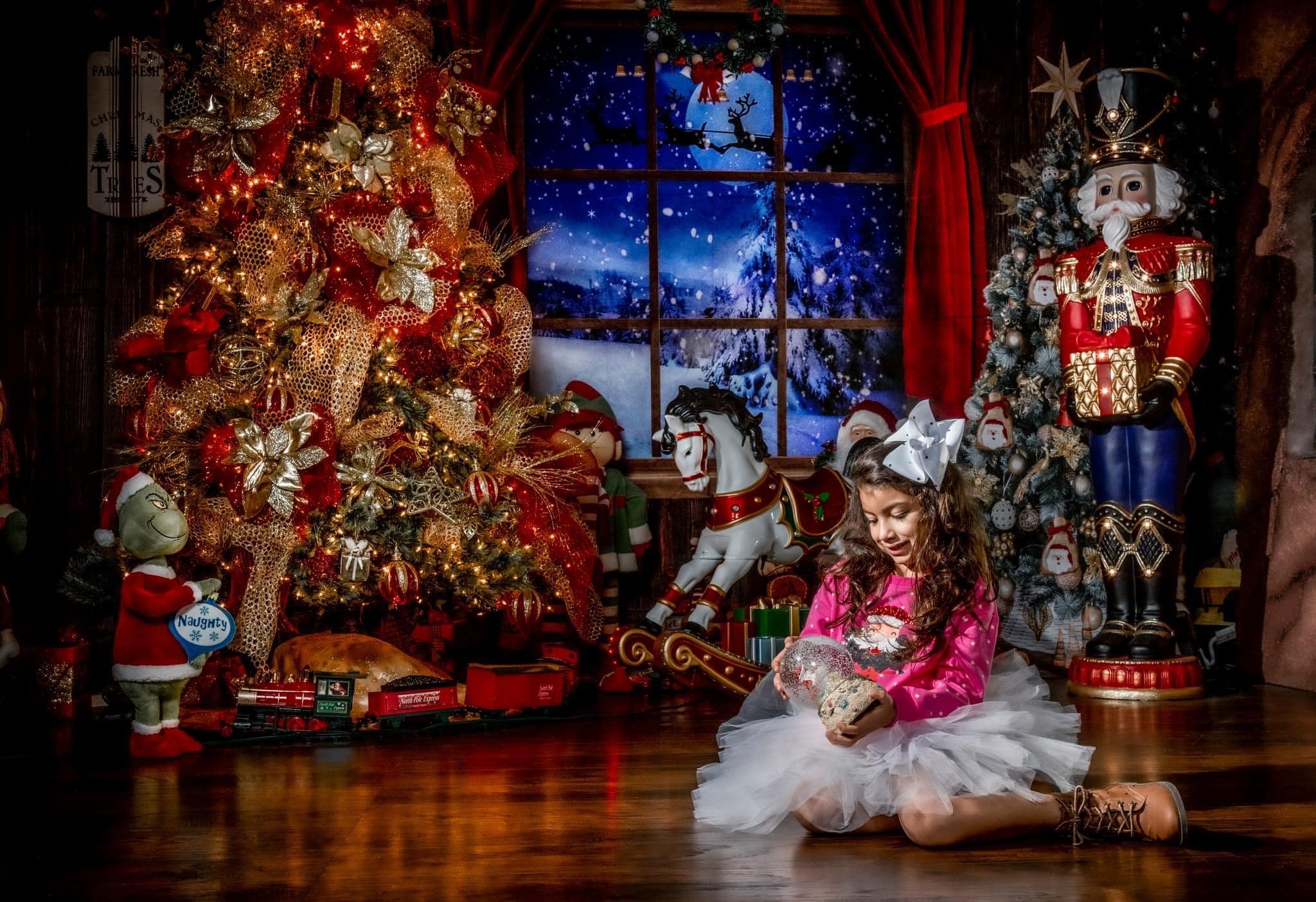 Kate Christmas Trees Indoor Windows Backdrop Room Set - Kate Backdrop AU