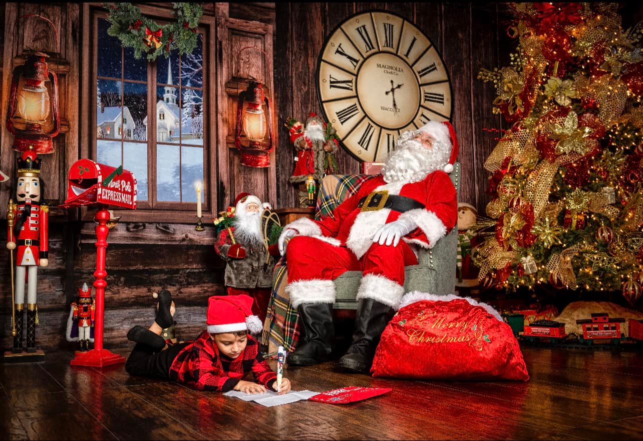 Kate Christmas Trees Indoor Windows Backdrop Room Set - Kate Backdrop AU
