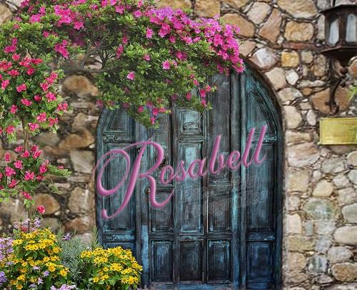 Kate Spring Gate Backdrop Designed by Rosabell Photography - Kate Backdrop AU