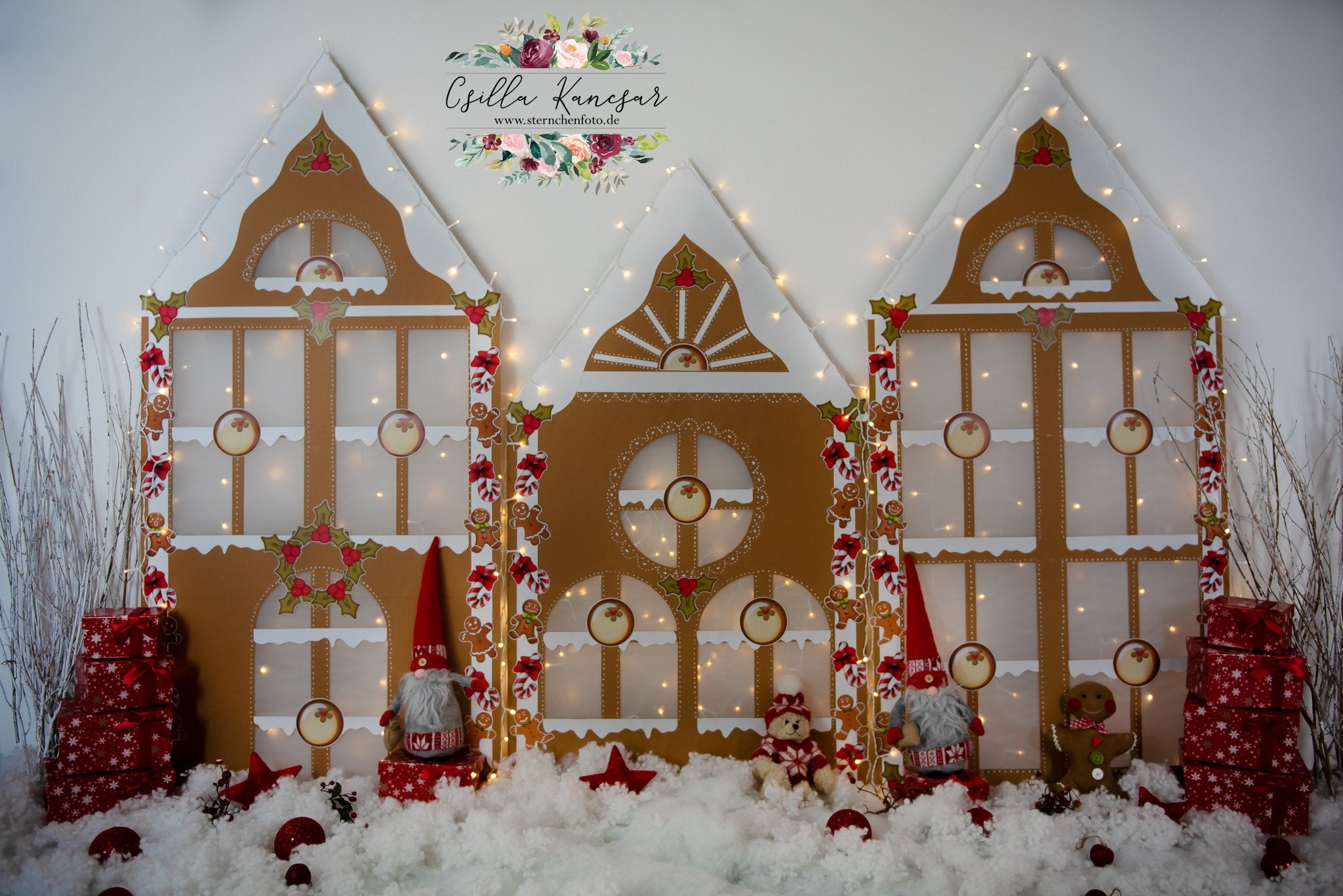 Kate Christmas Gingerbread House Backdrop Designed by Csilla Kancsar