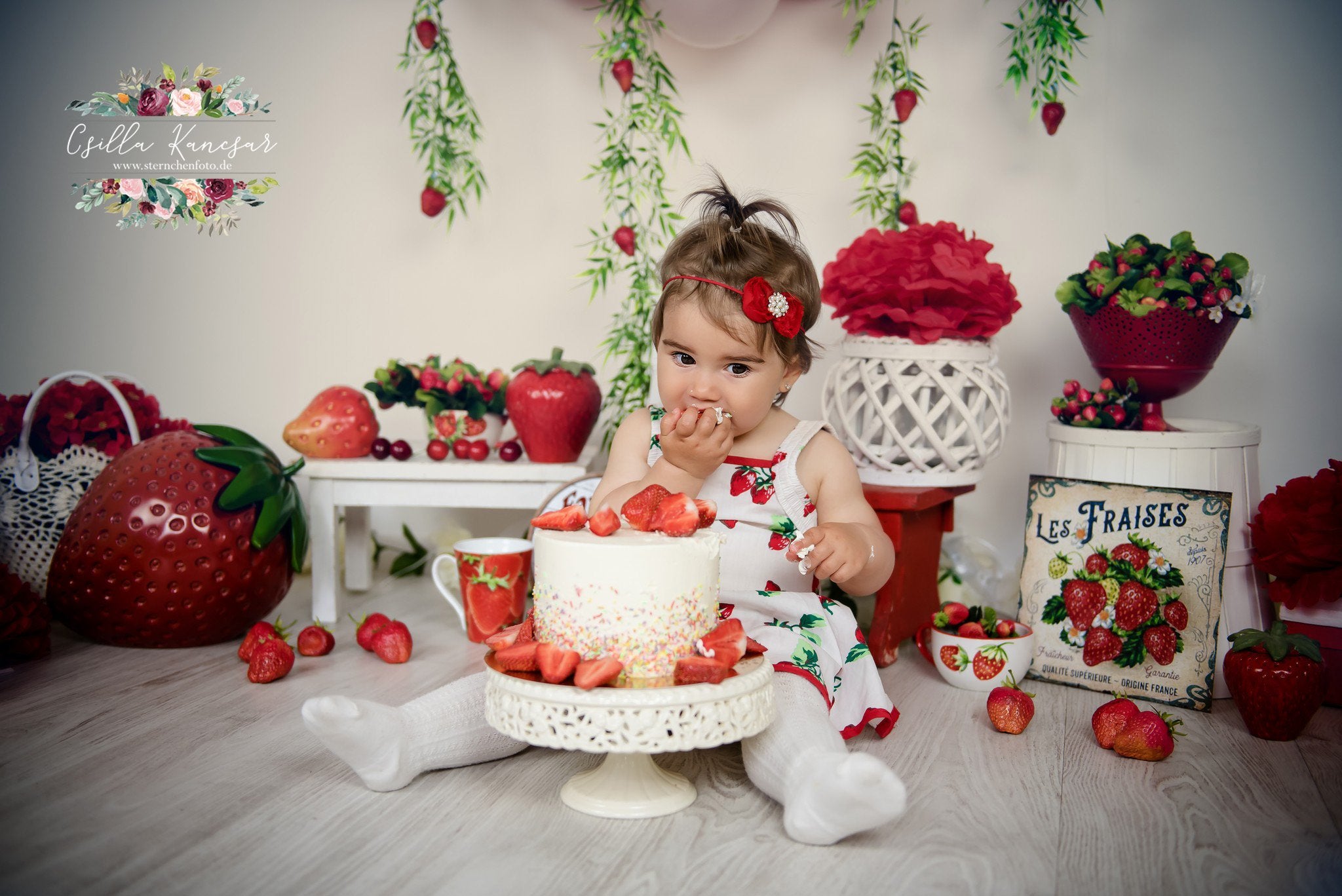 Kate Summer Backdrop Strawberry Apple Red Balloons Designed by Csilla Kancsar - Kate Backdrop AU