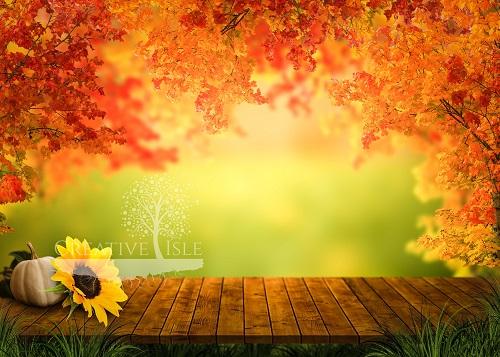 Kate Sunny Autumn Backdrop Designed by Chrissie Green