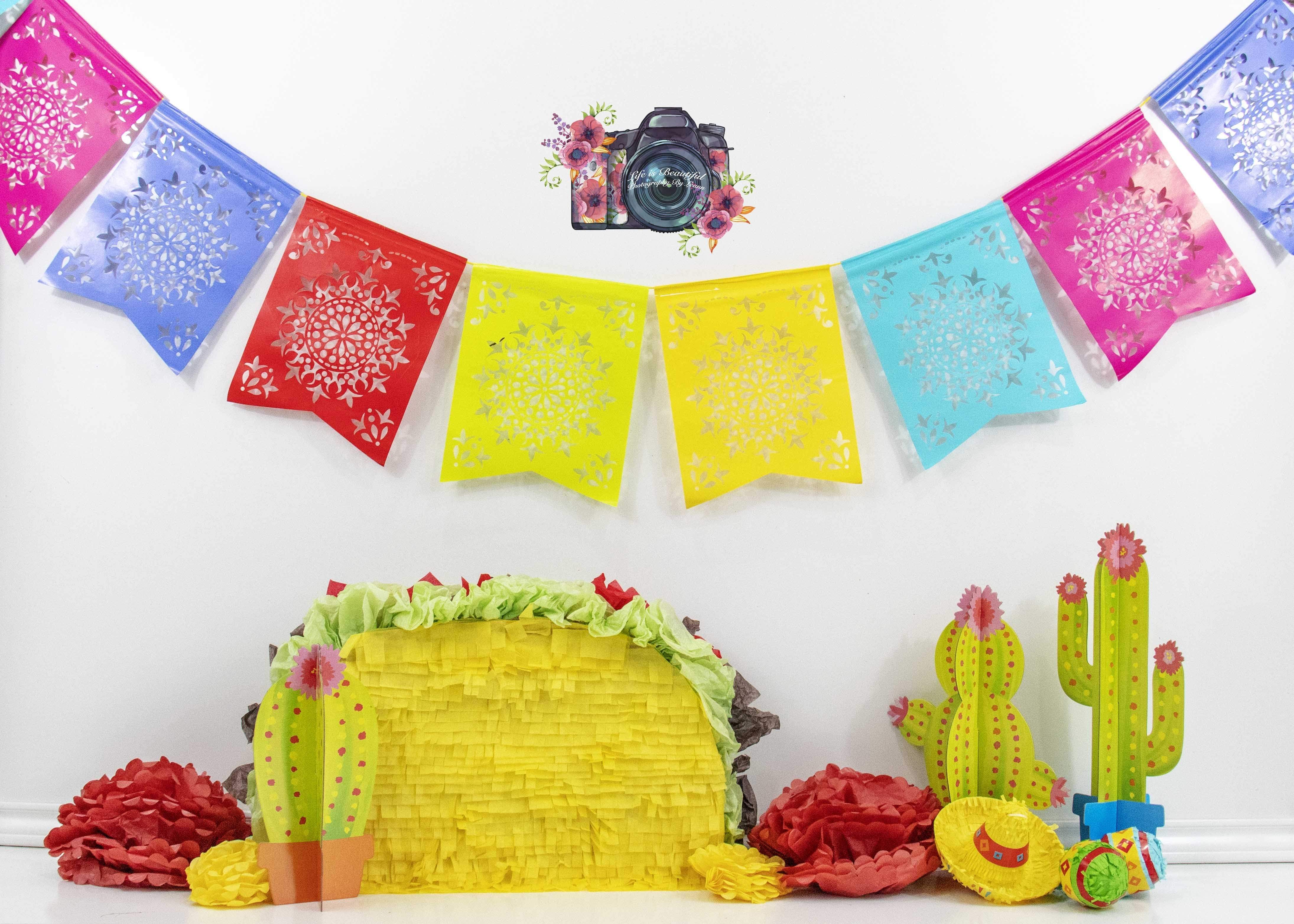 Kate Taco Theme with Colorful Flags Backdrop for Photography Designed By Leann West